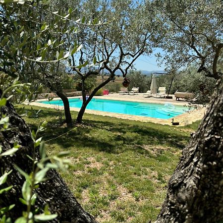 Agriturismo Uliveto Benedetti Spoleto Luaran gambar