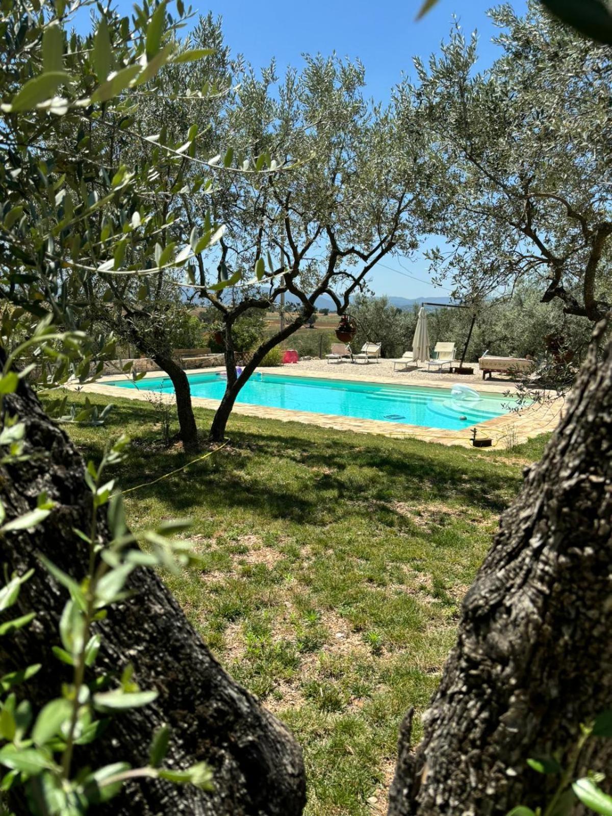 Agriturismo Uliveto Benedetti Spoleto Luaran gambar