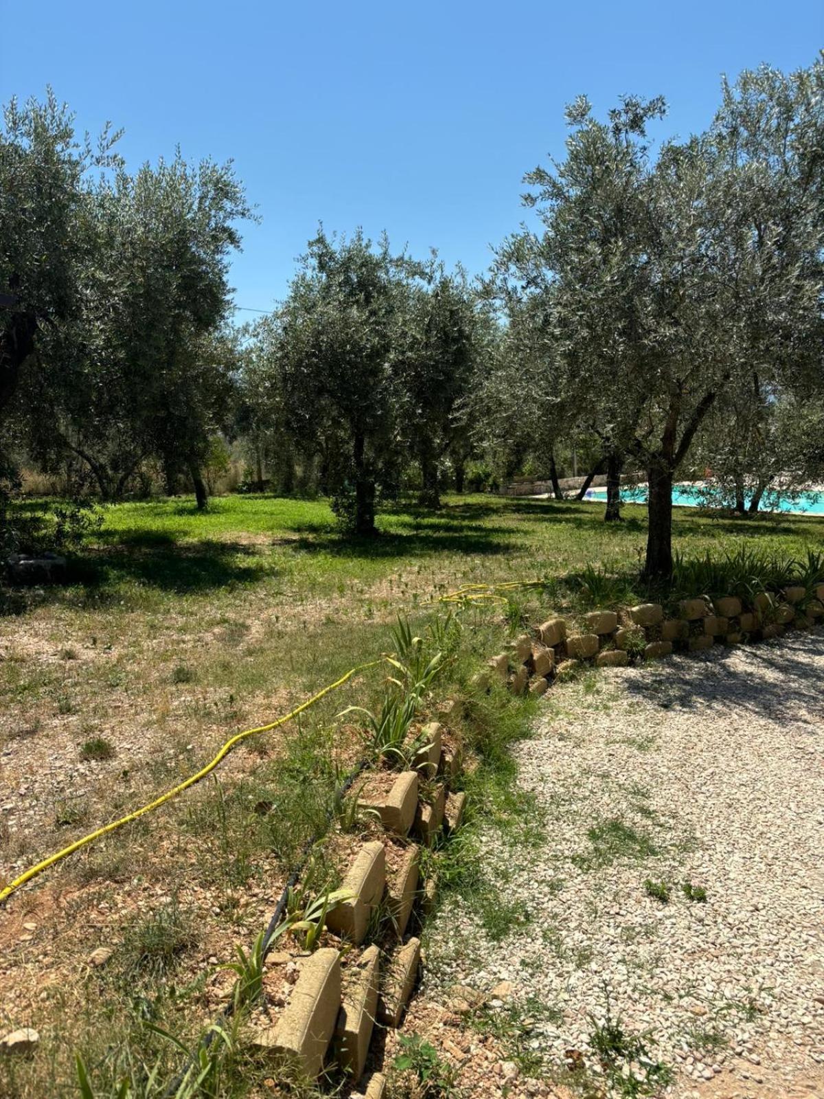 Agriturismo Uliveto Benedetti Spoleto Luaran gambar